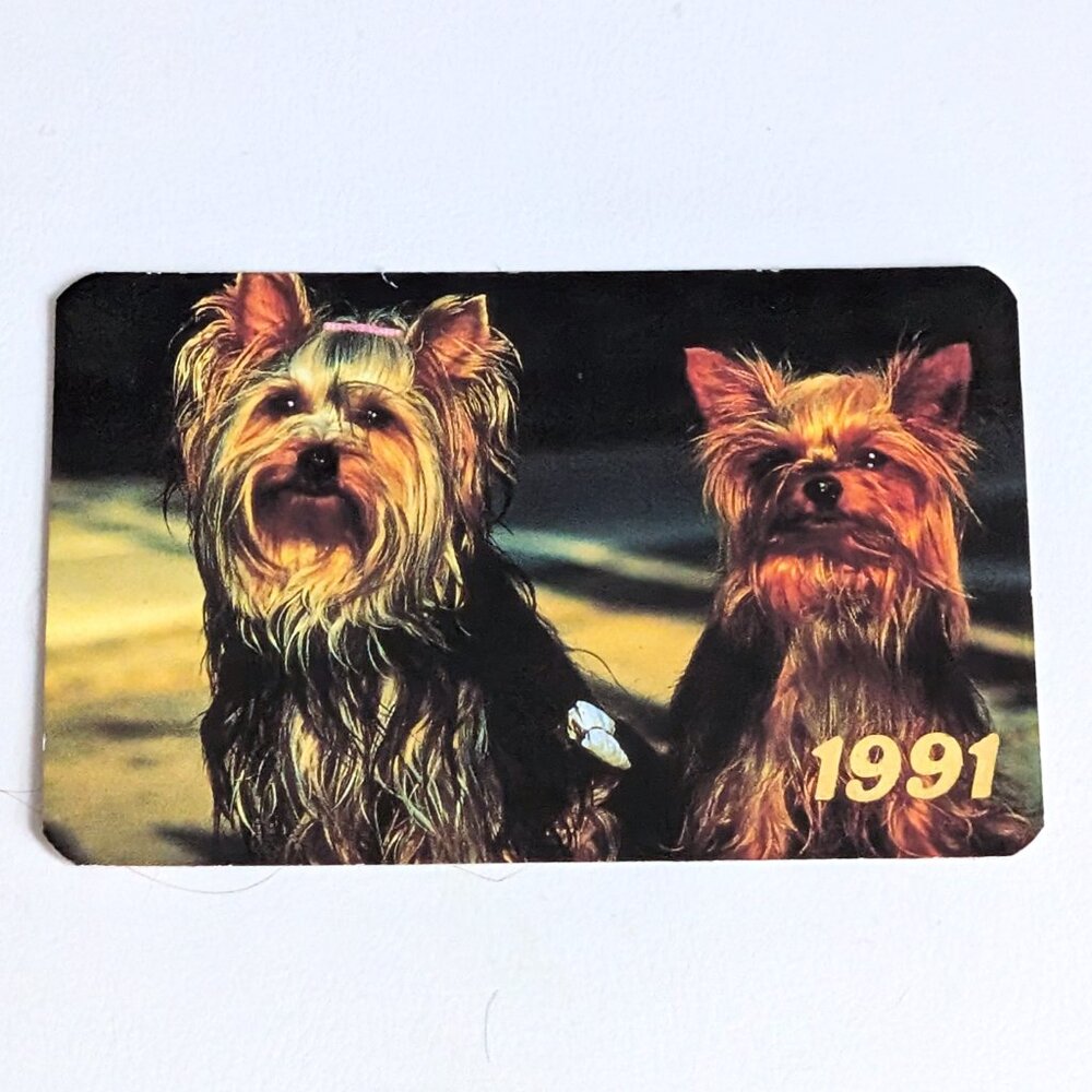 Vintage Russian Soviet USSR Pocket Calendar Yorkshire Terrier Dog 1991